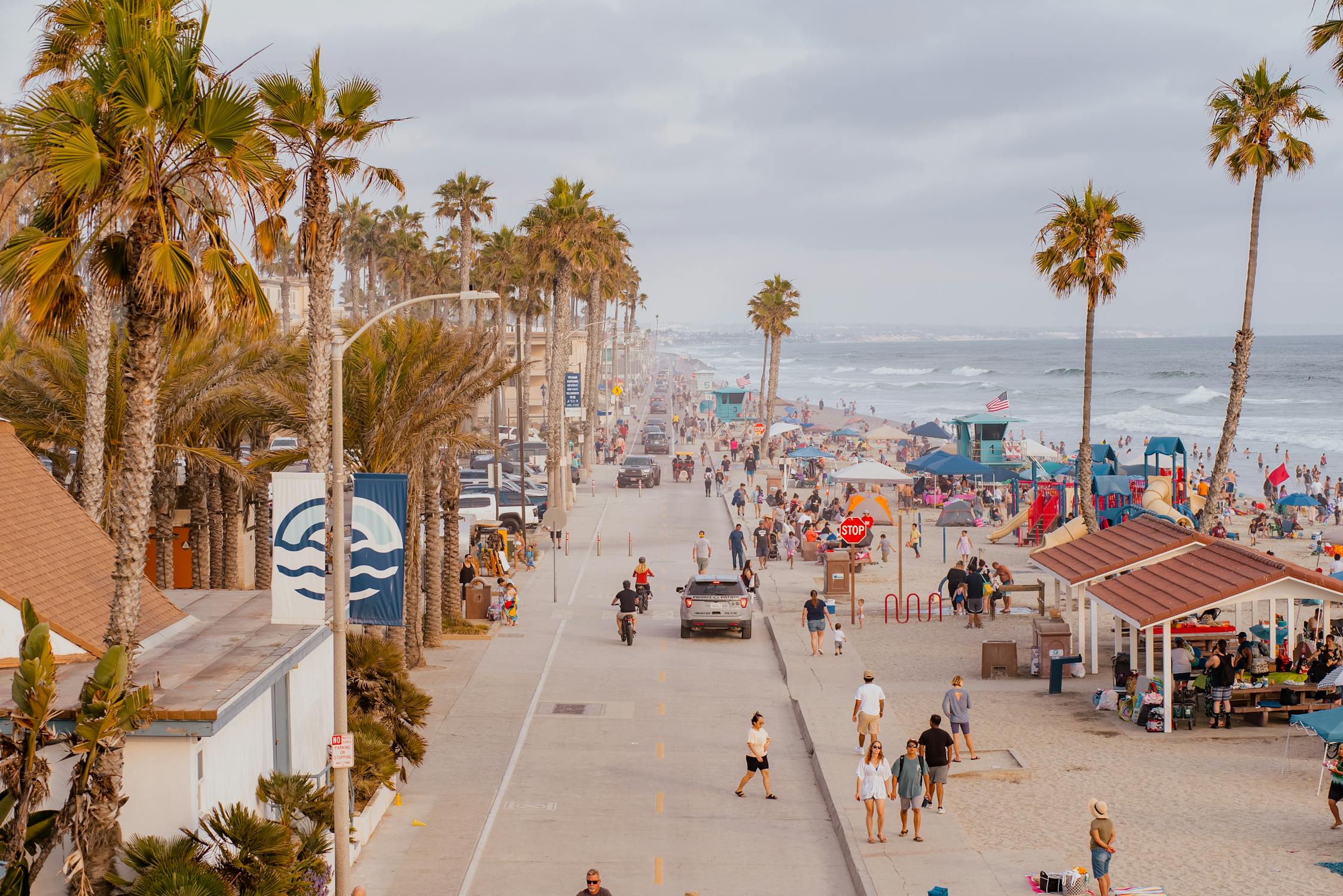 Palm Trees around Street near Beach in Town